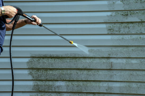 Best Deck Cleaning Services  in Fulshear, TX